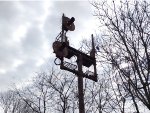 EX-RDG Signals